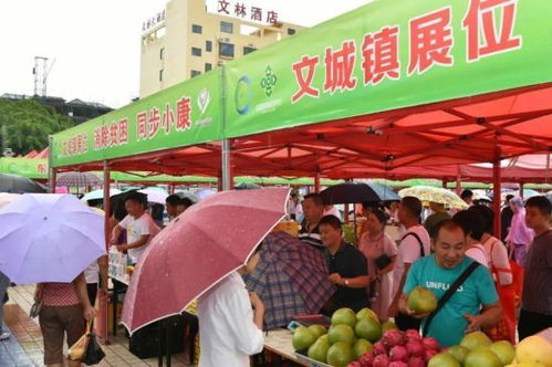 文昌干部群众冒雨购买扶贫农产品 2小时带货14万多元