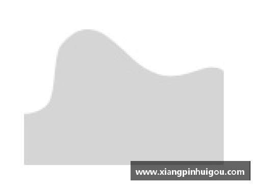 AG庄闲火箭面临前所未有的重建困局，球团高层急需明智决策 - 副本